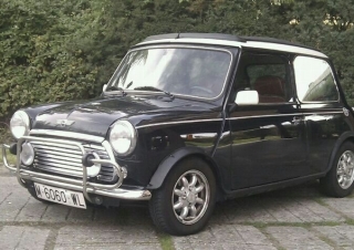 Rover Mini