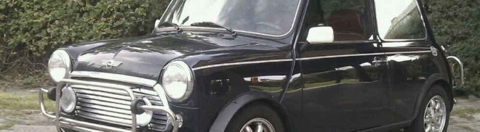 Rover Mini Rover Mini