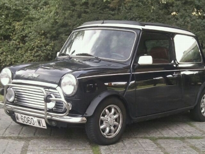 Rover Mini